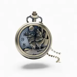 Montre à Gousset Vintage Pleine Lune | La Montre à Gousset