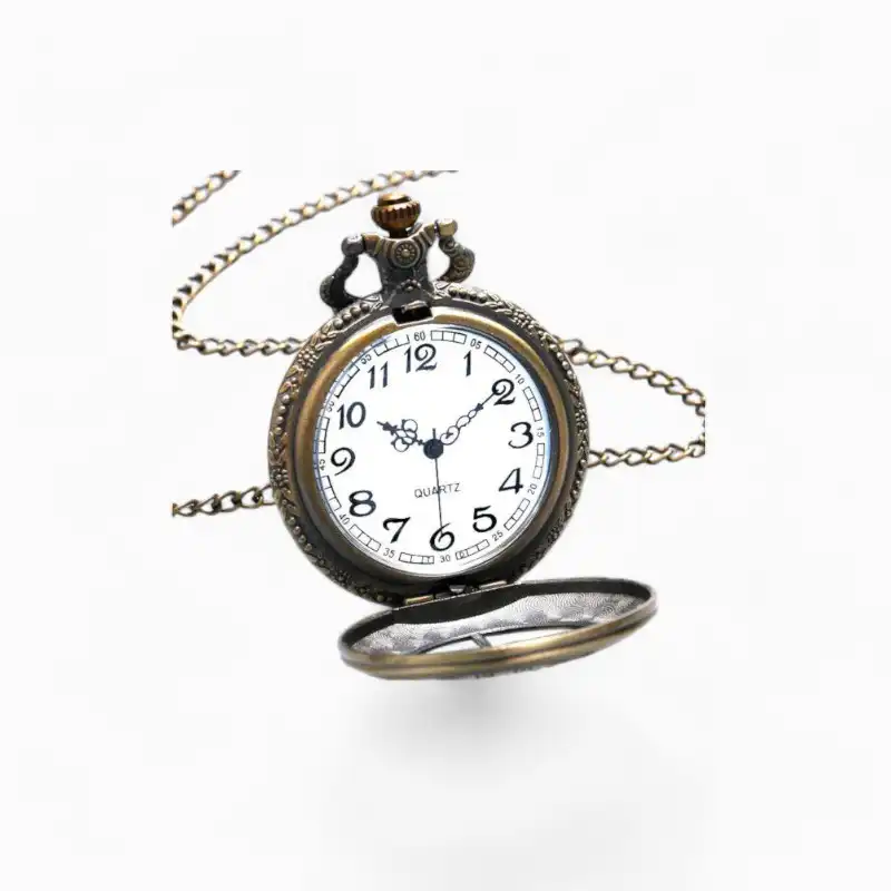 Montre Gousset Vintage Horloge Astronomique | La Montre à Gousset