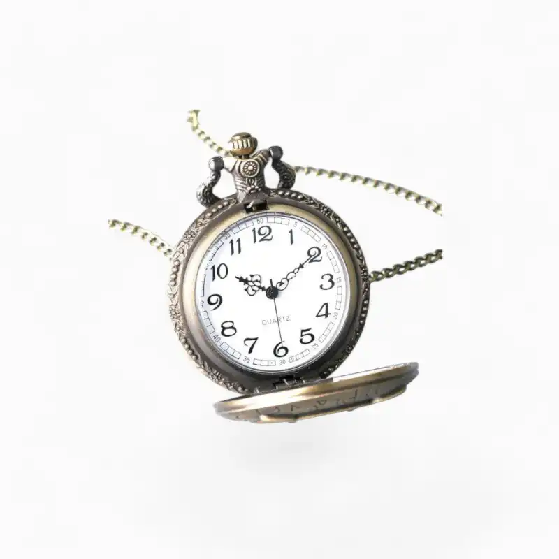 Montre Gousset Hibou Retro | La Montre à Gousset